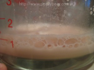 Activated Muntons Dry Yeast pitched in 1/2c water
