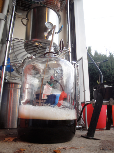 Transferring beer to Carboy