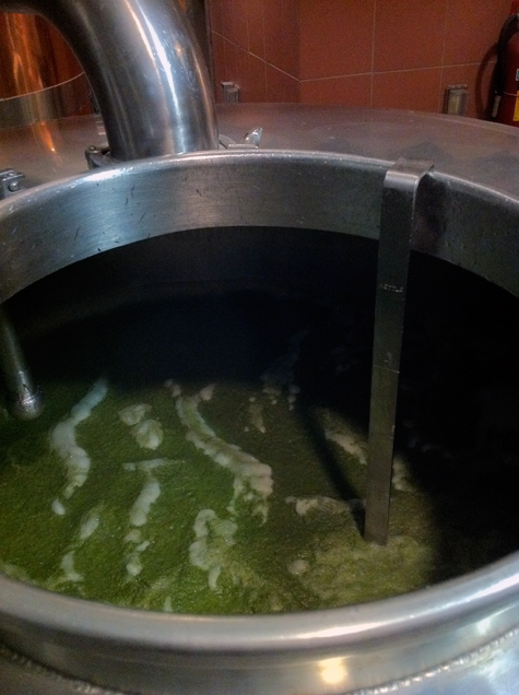 First Wort Addition of German Tradition hops