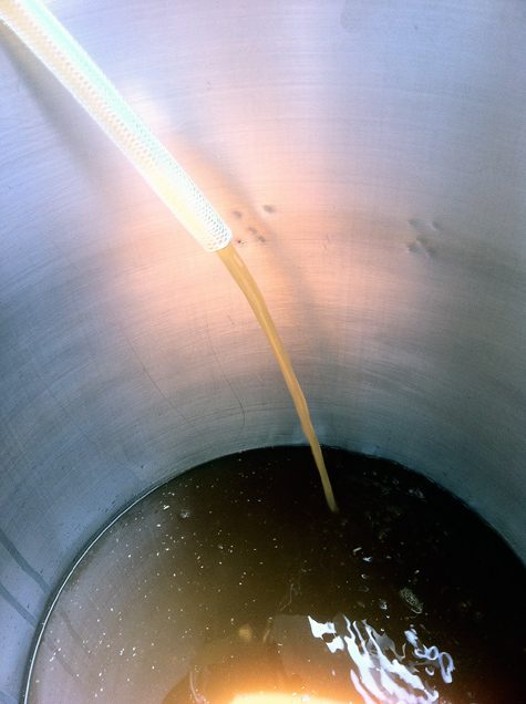 Transfer wort from Mash to boil kettle